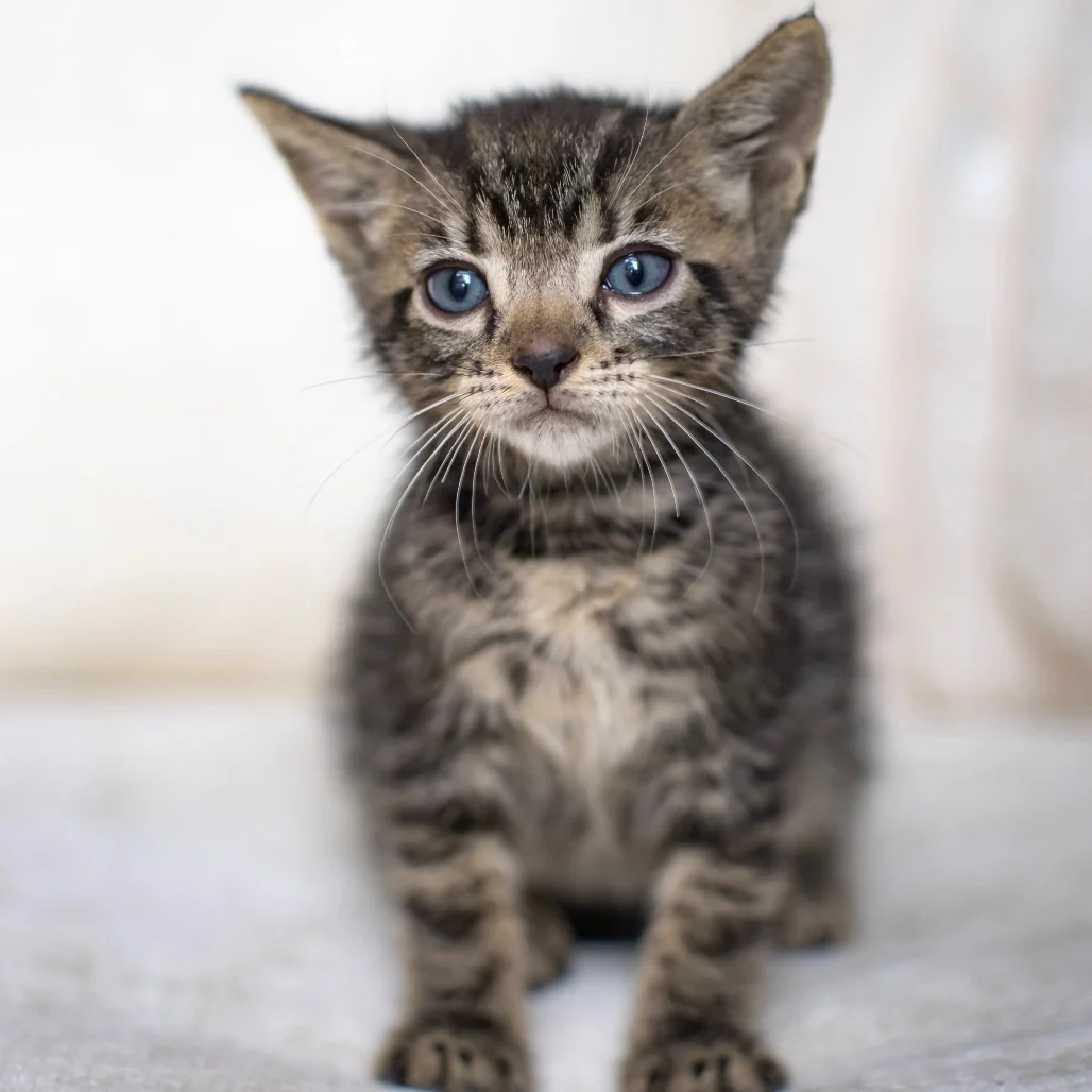 What If You’re Nervous About Joining an Established Volunteer Team?