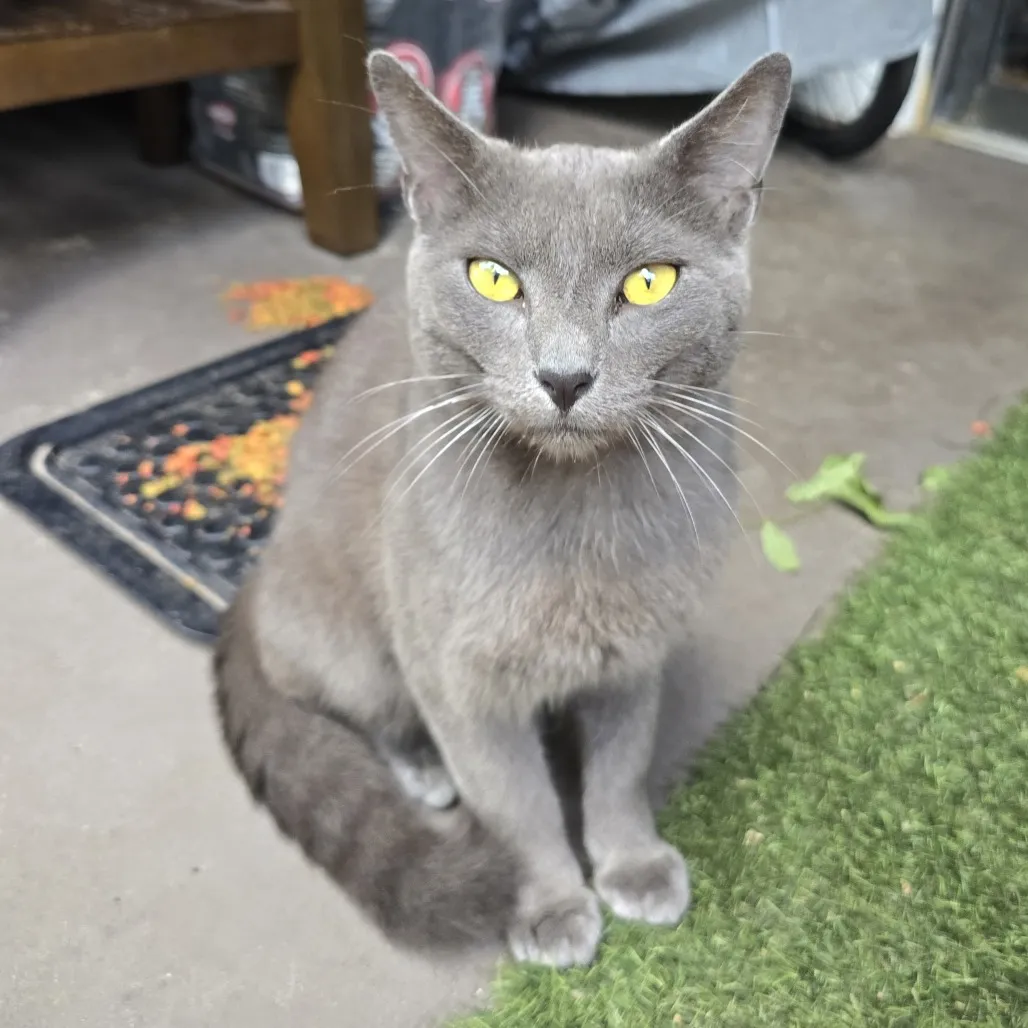 Why Every Foster Placement Doesn’t Have to Be Perfect